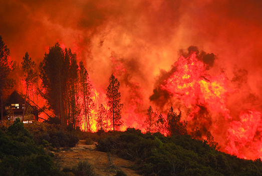 Supporting Those Affected by the California Wildfires